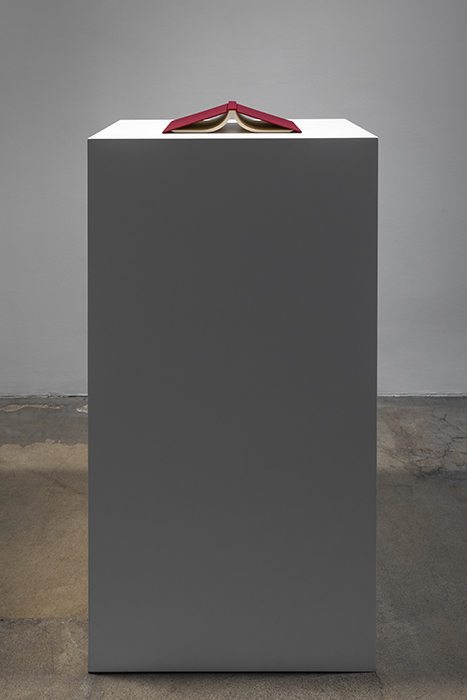  Vita activa&nbsp; / &nbsp;Vita contemplativa&nbsp; &nbsp; (Como la lluvia) , 2015 Libro, pedestal / Book, plinth 109 x 56 x 38 cm 