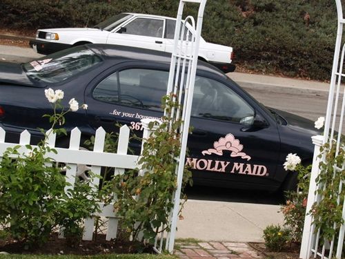 Molly maid