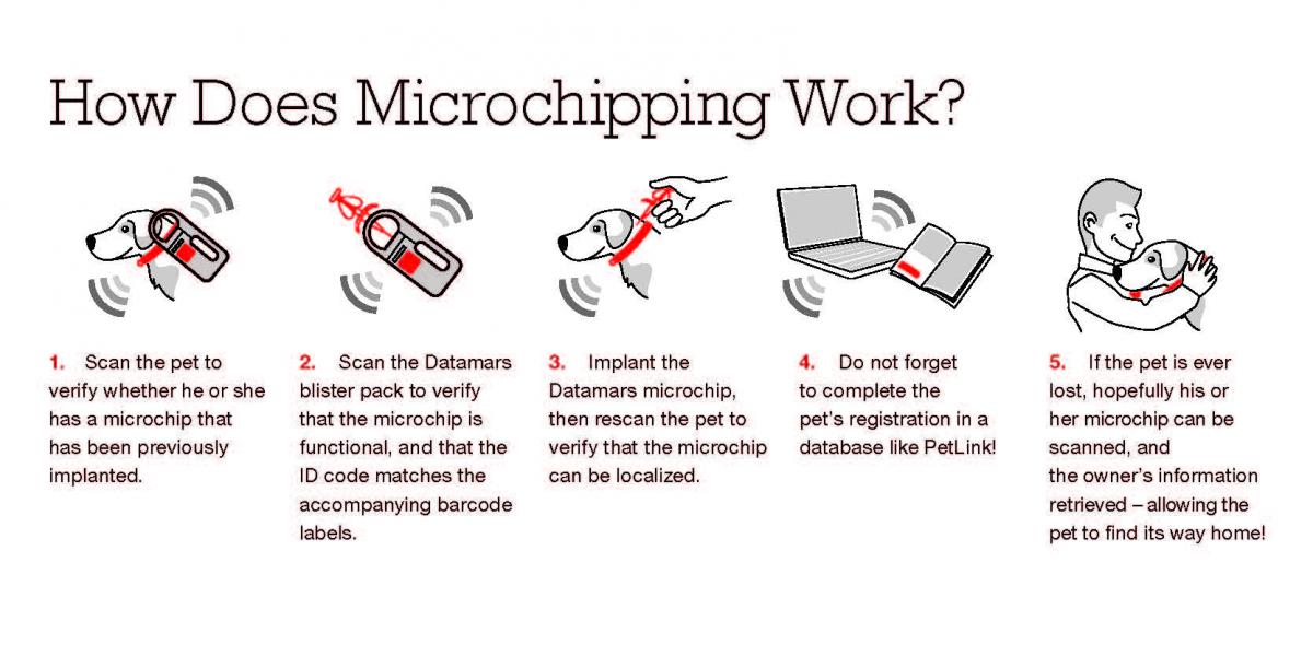 microchipping register