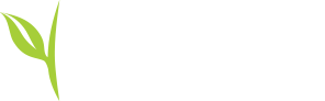 Living Grace Community Church