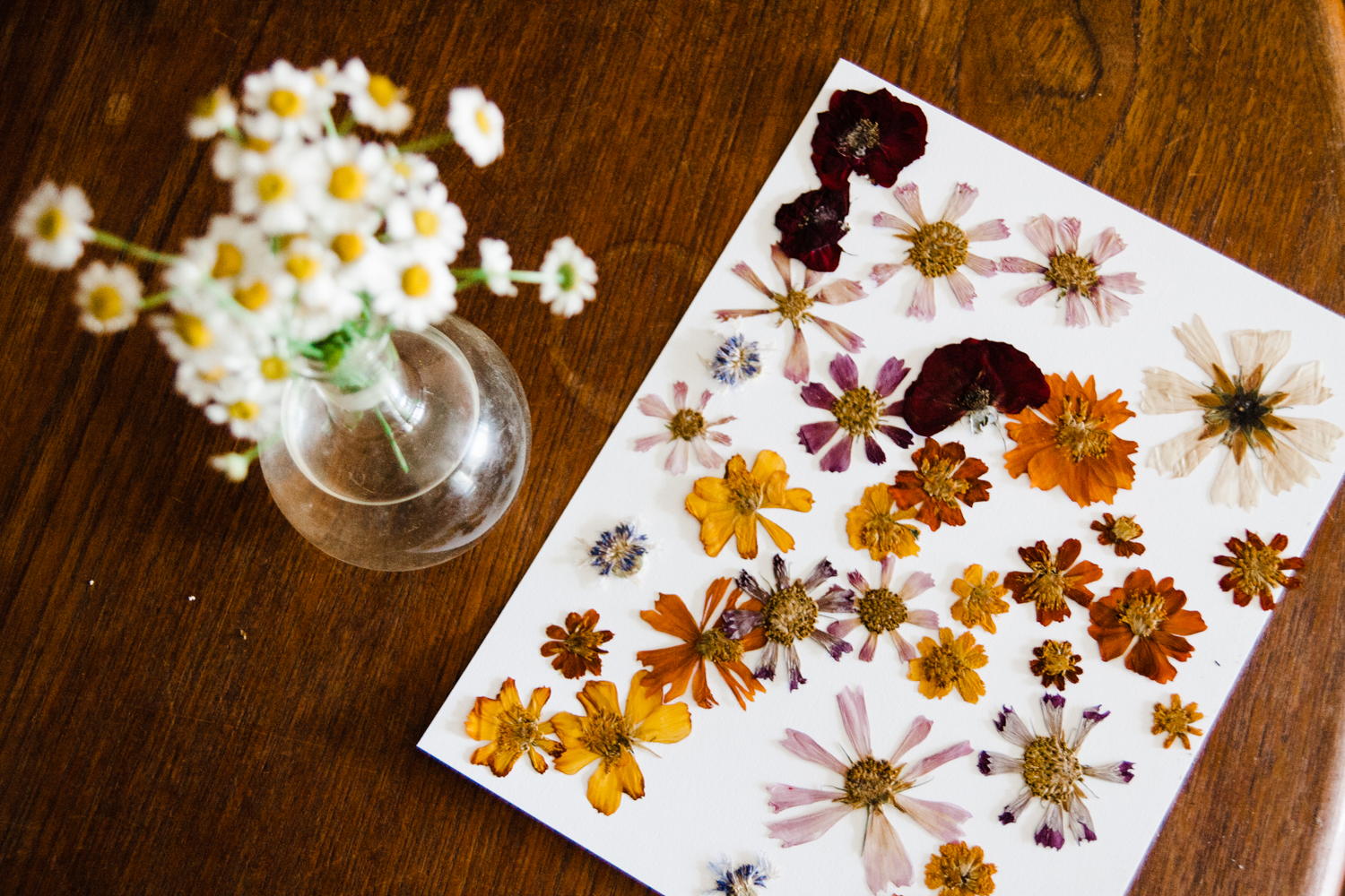 Pressed Flower Art for Your Home — Retro Den