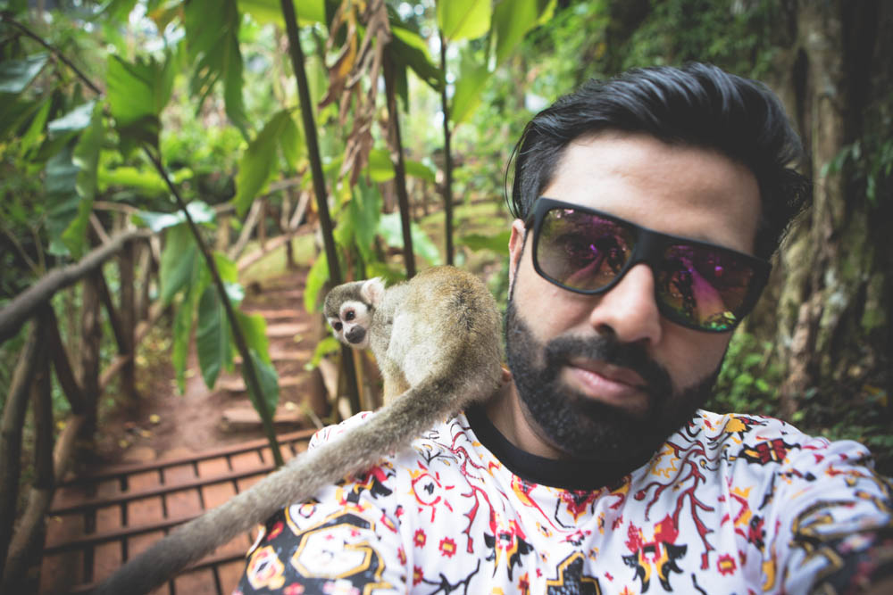 Dominican Republic Monkey Jungle by Atif Ateeq-1