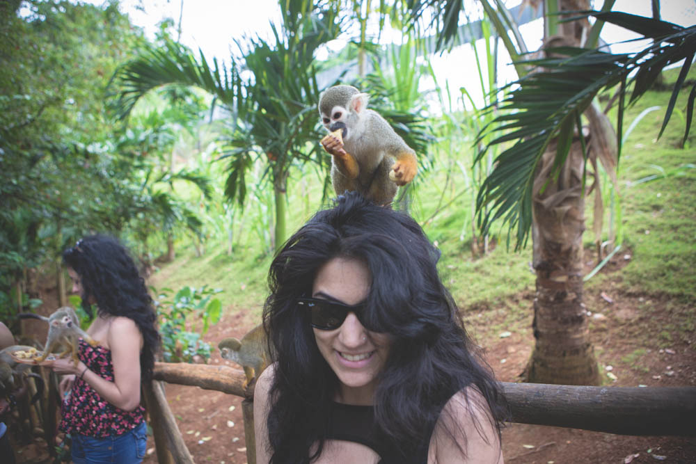 Dominican Republic Monkey Jungle by Atif Ateeq-3