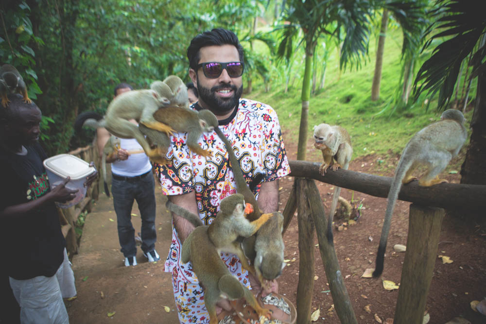 Dominican Republic Monkey Jungle by Atif Ateeq-5