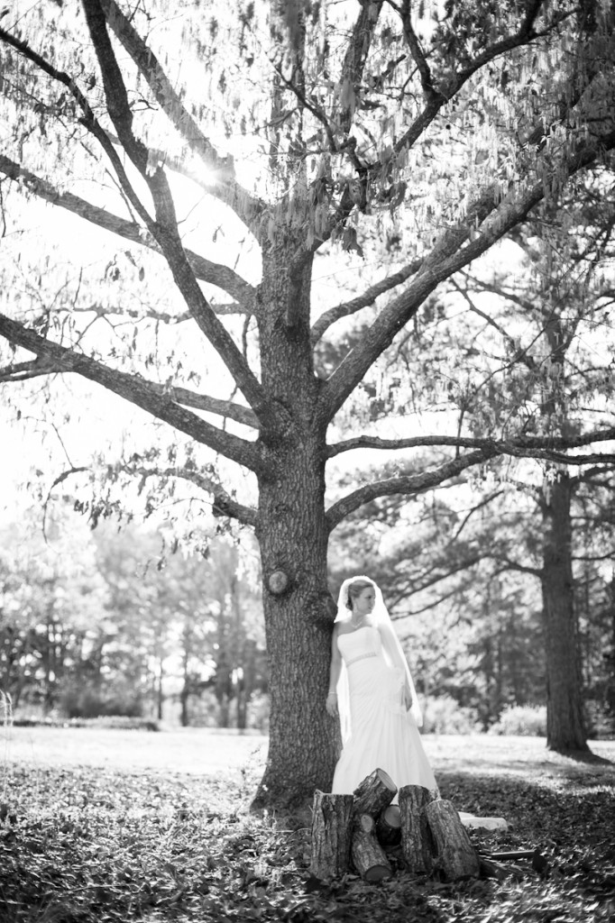 Bridal_Louisiana_tree_ClaireElysePhotography