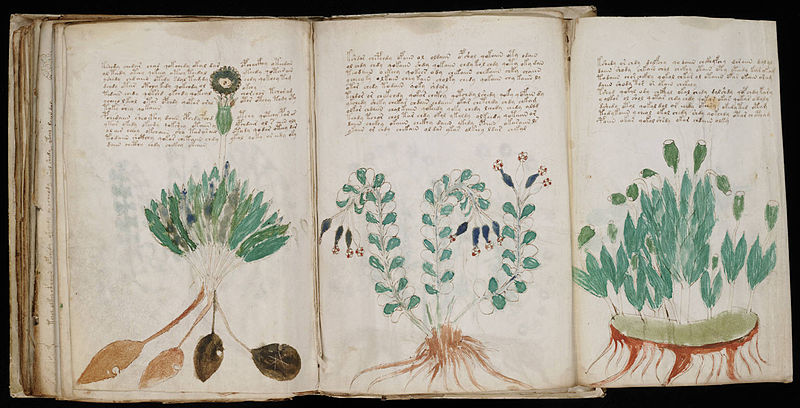 Voynich-manuskriptet