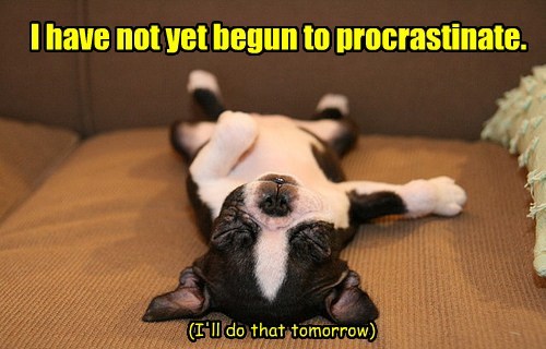 procrastinate