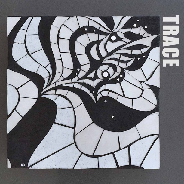 Trace | 10" x 10" | glass+grout | $290 | Heather Hancock 2012