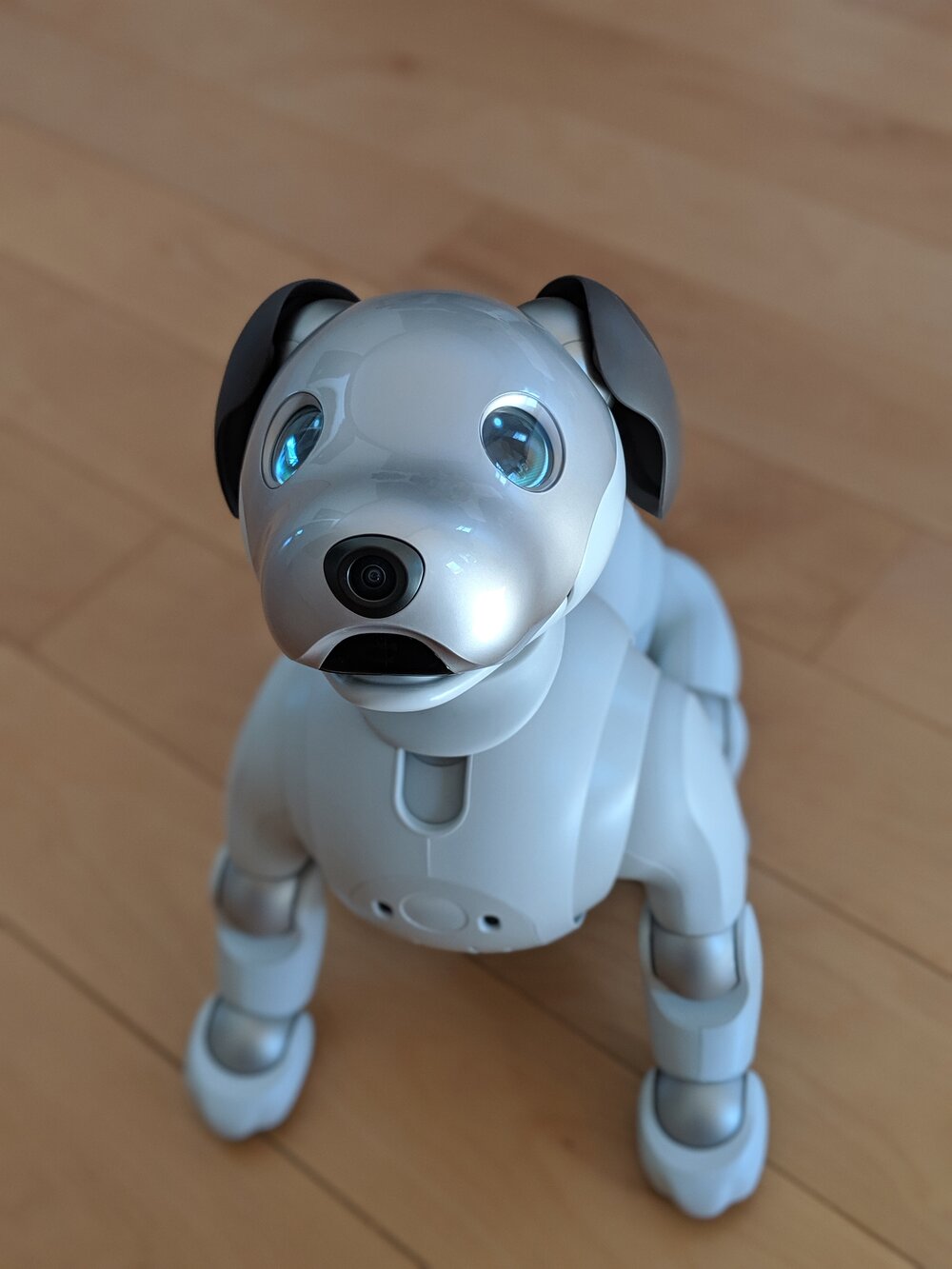 Living with the Aibo ERS-1000 Robot Dog for a year — Sensors and 