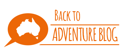 Back to Our Adventure Blog