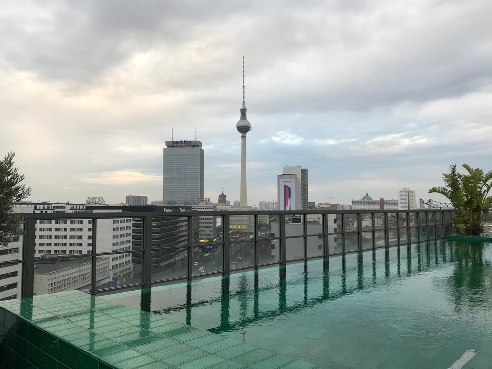  Tropical plant vs Grey Berlin sky 