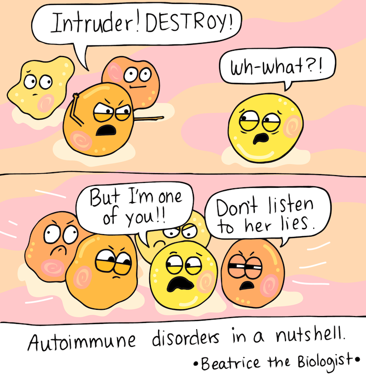 Autoimmune disorders in a nutshell -Beatrice the Biologist-