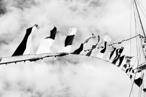 black and white boat flags