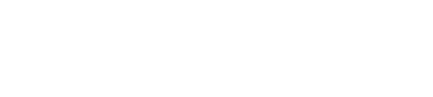 Buffalo Nickel Antiques