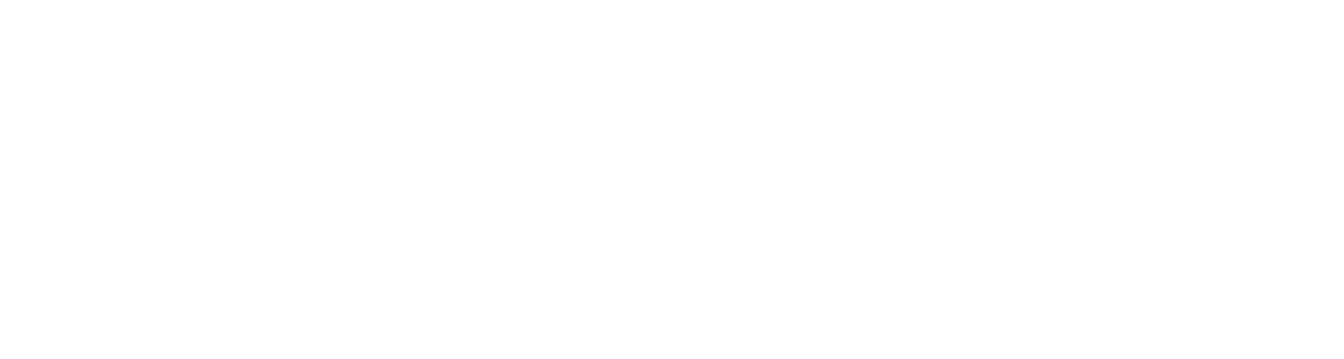 Auburn Downtown Partnership