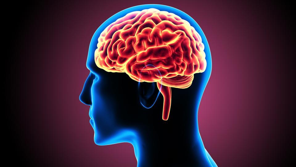 22 Proven Ways to Increase Brain Blood Flow — Optimal Living Dynamics