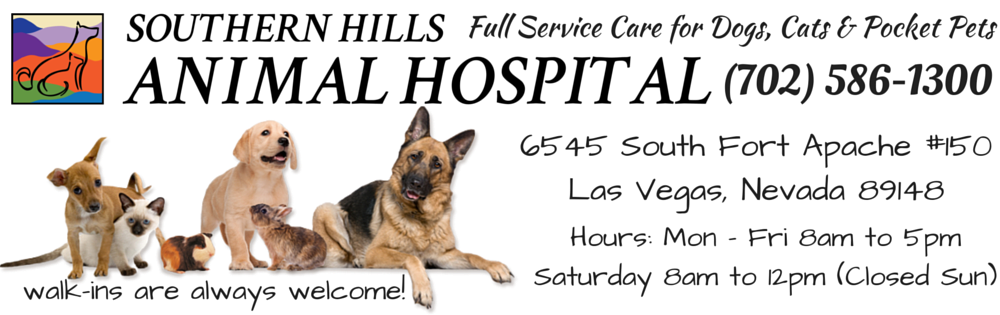 Southern Hills Animal Hospitalsouthern Hills Animal Hospital