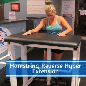 Hamstring-Reverse Hyper Extension