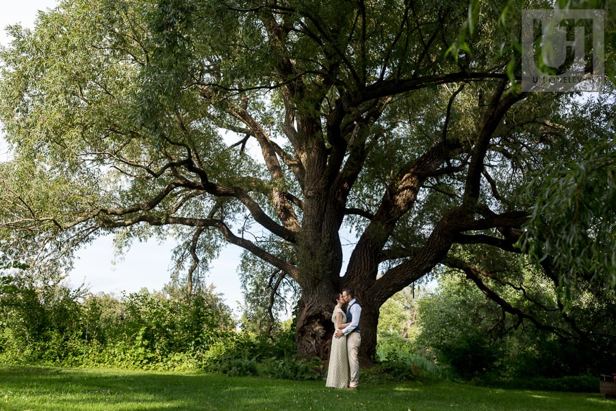 Bride and groom kissing in front of massive tree at the Arboretum in Ottawa.