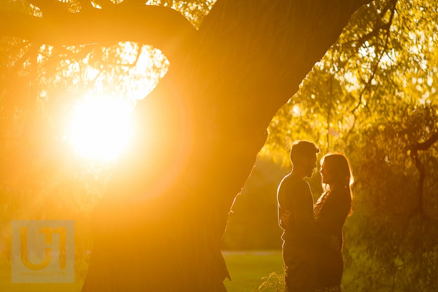 young couple standing in an embrace to the right of a large tree at Arboretum, while sun sets behind them.
