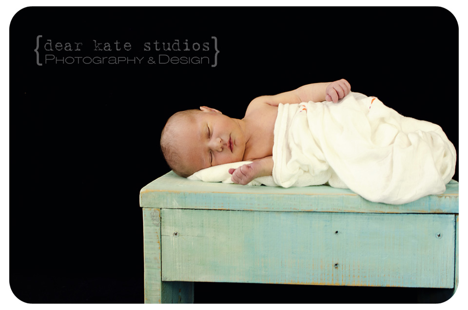 Loveland Newborn Photographer