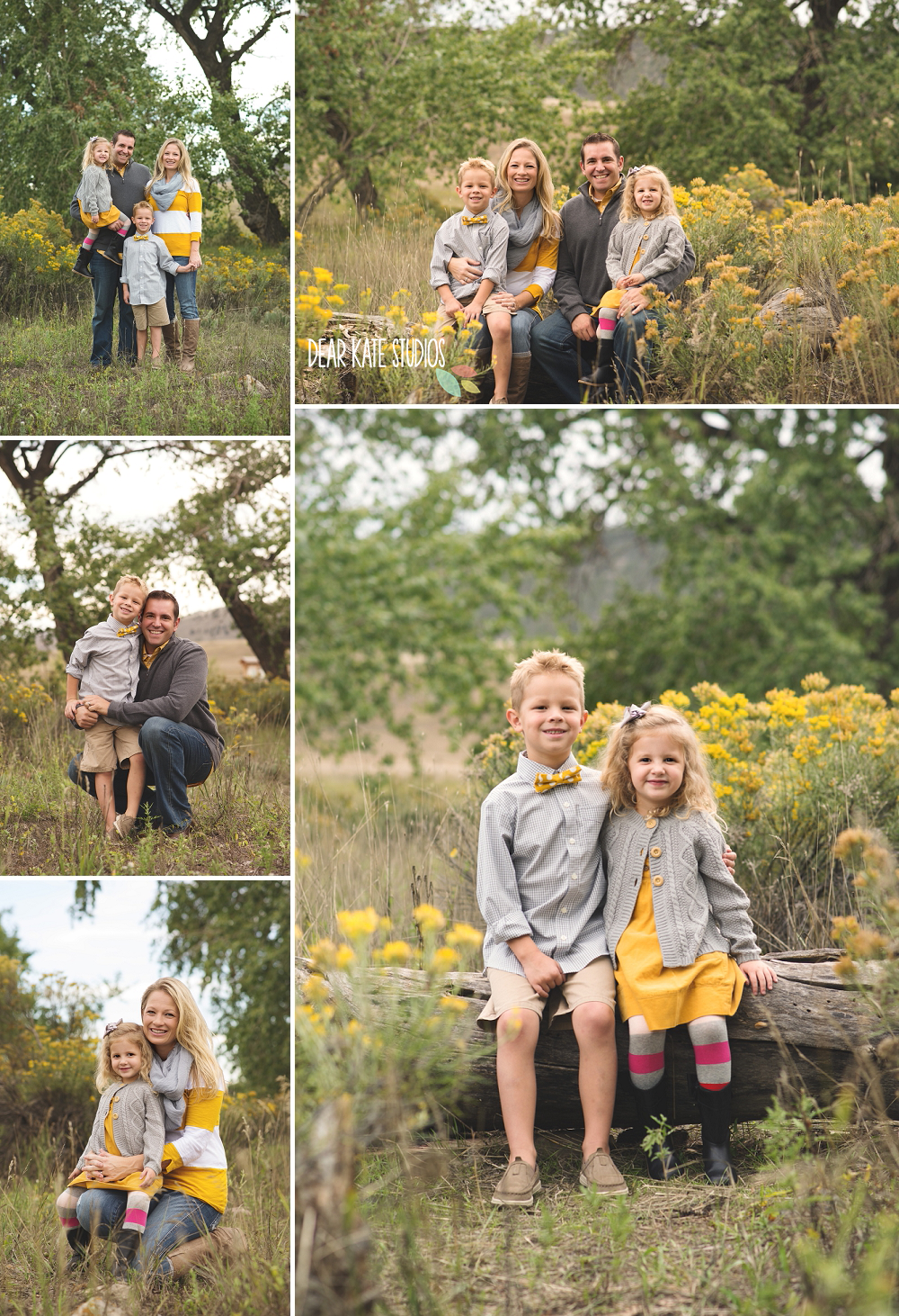 Fort Collins Family Pictures
