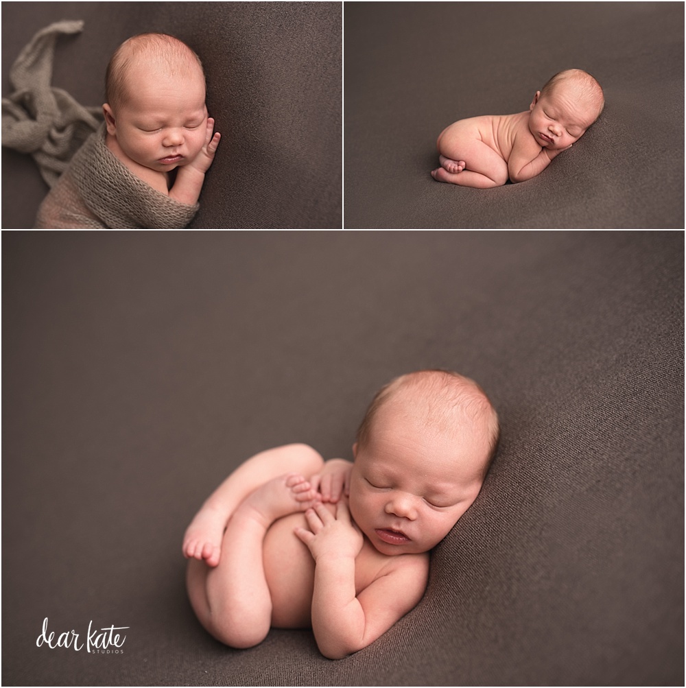 berthoud newborn photography baby pictures