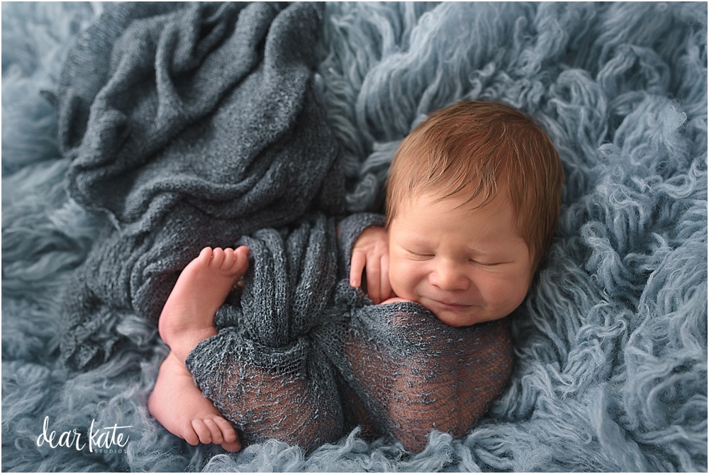 baby boy in blue newborn photography windsor colorado