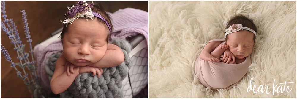 Fort Collins premature baby girl newborn pictures
