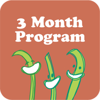 3-month-program