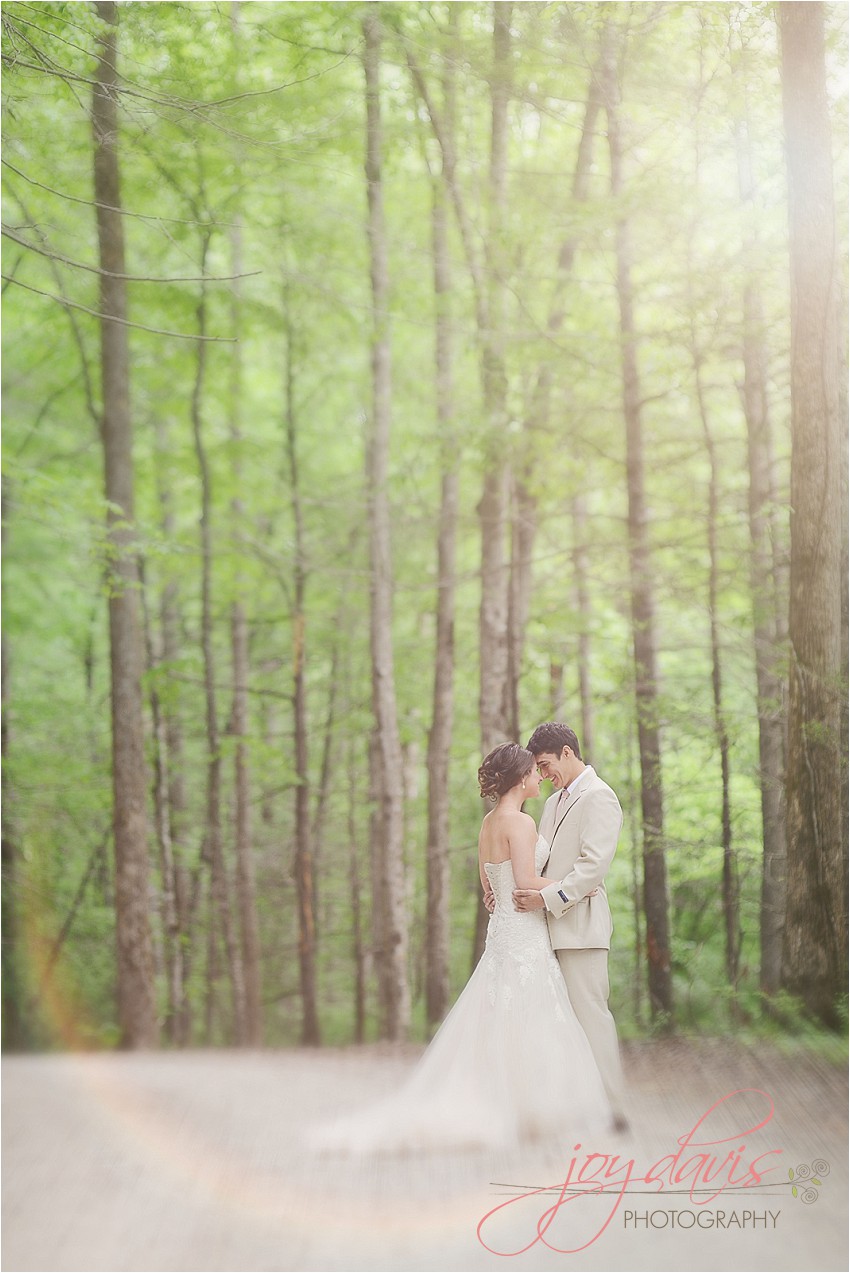 nc weddings, marion nc weddings, asheville nc wedding photographers, lake tahoma weddings
