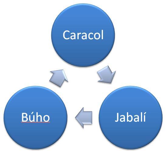 ciclo buho caracol jabali