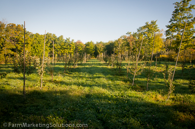 camps road farm orchard