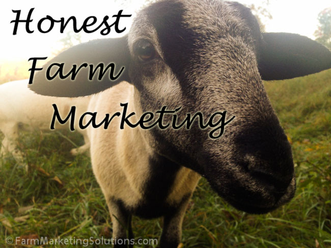 honest farm marketing sheep