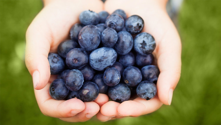 Benefits of Blueberries…and Jesus