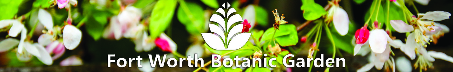 Fort Worth Botanic Garden 