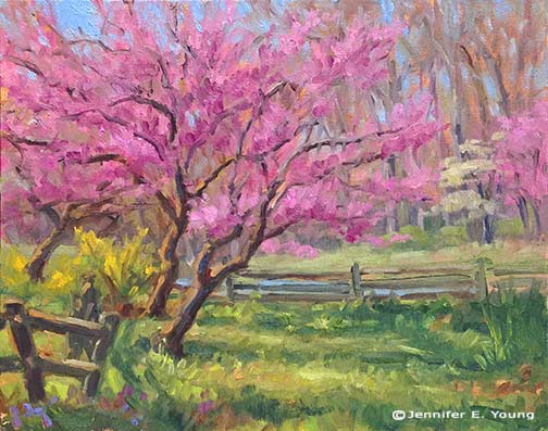 Plein air painting of Redbud trees by Jennifer E Young