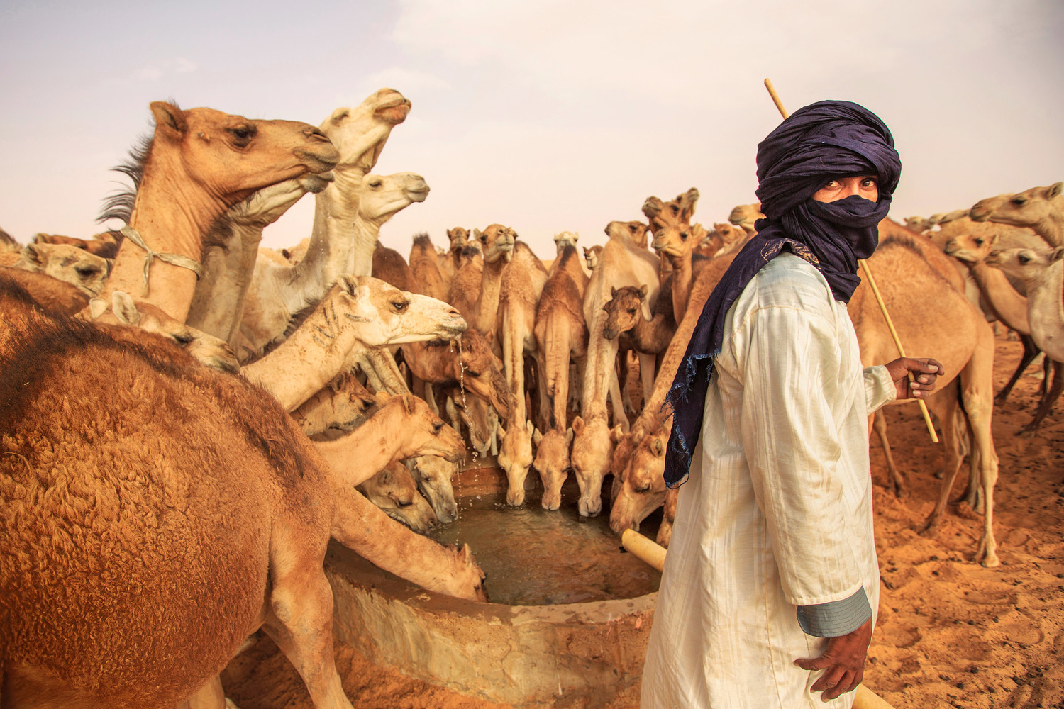 mauritania-into-the-adrar-mitchell-kanashkevich-traditions-culture-travel-photography