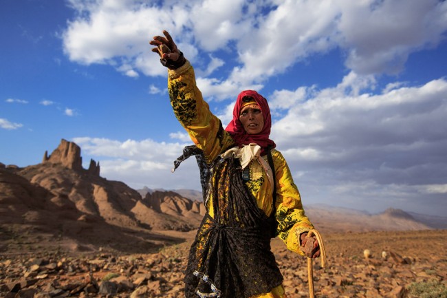 Nomad woman guiding her goats