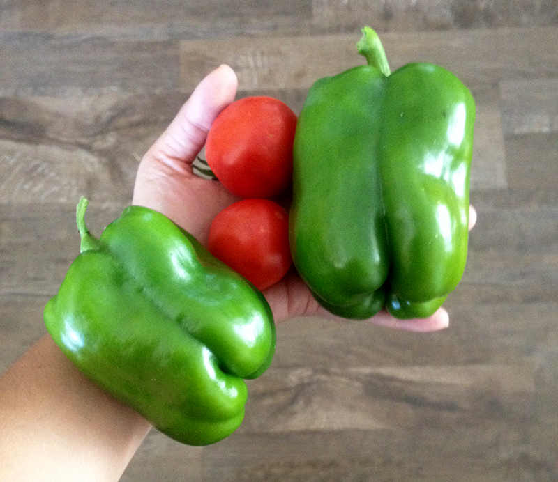 garden-fresh-tomatoes-bell-pepper