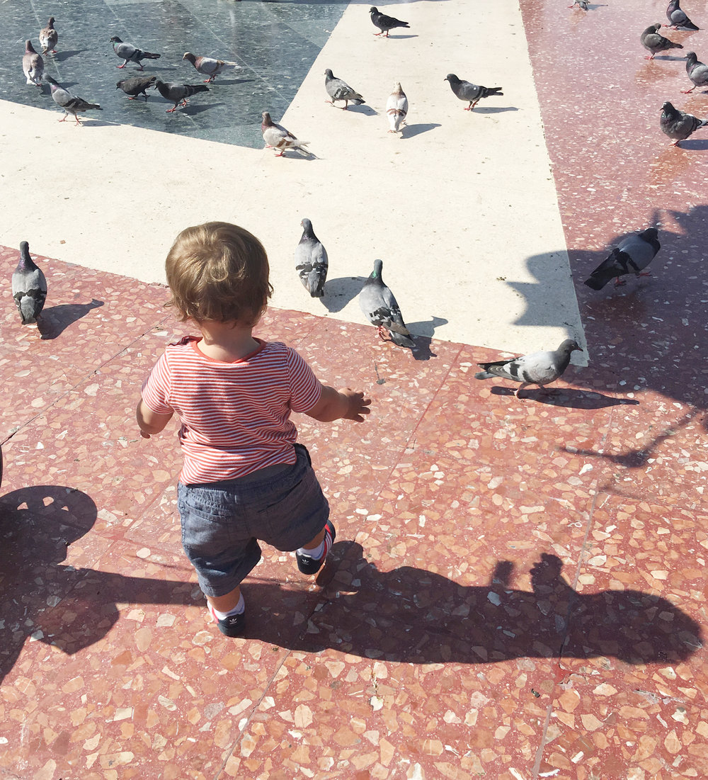 International-Trvel-Toddler-Play-Pigeons