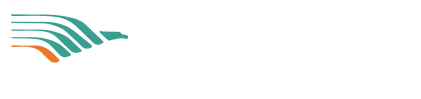 Wiseway Motor Freight Inc