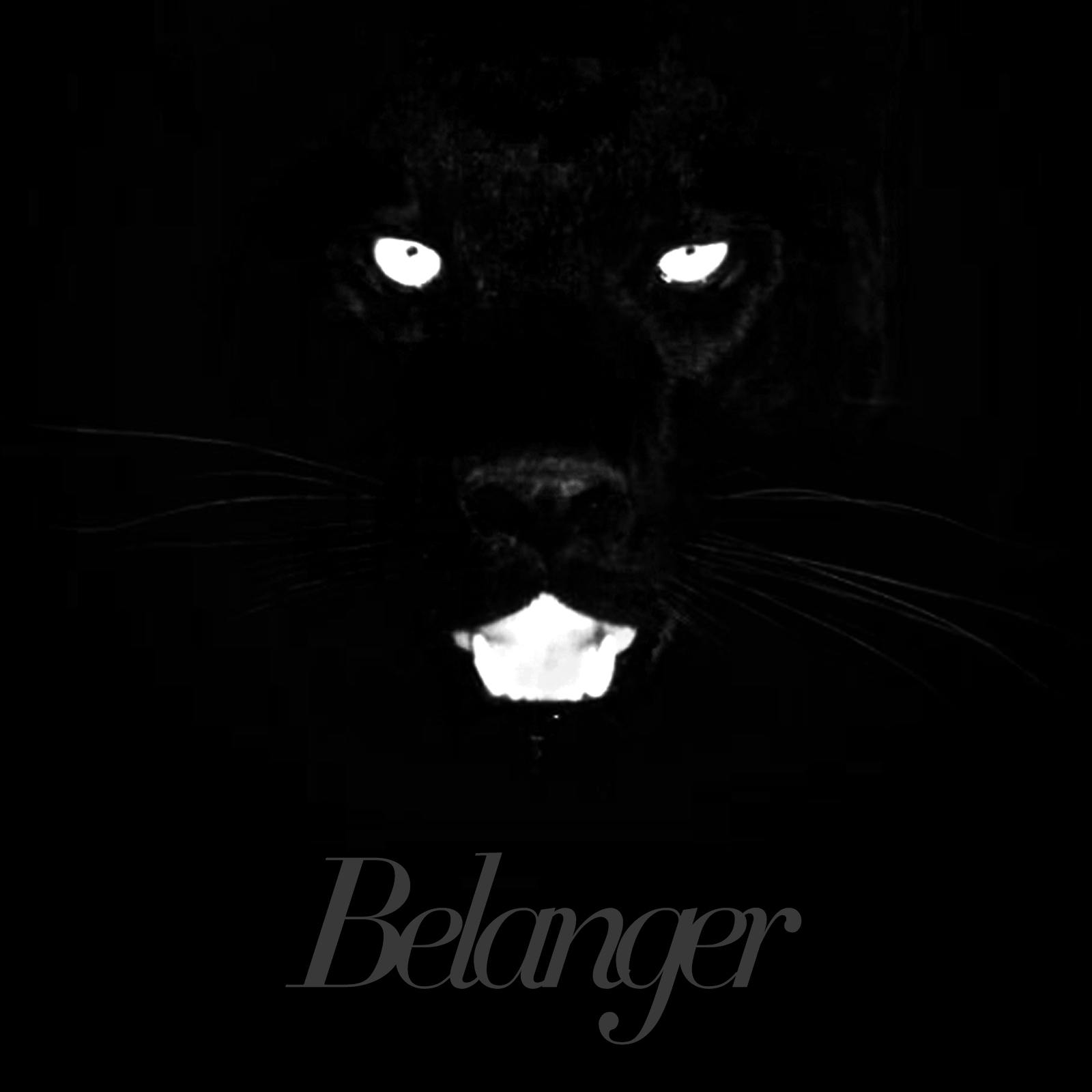 Belanger // Calico