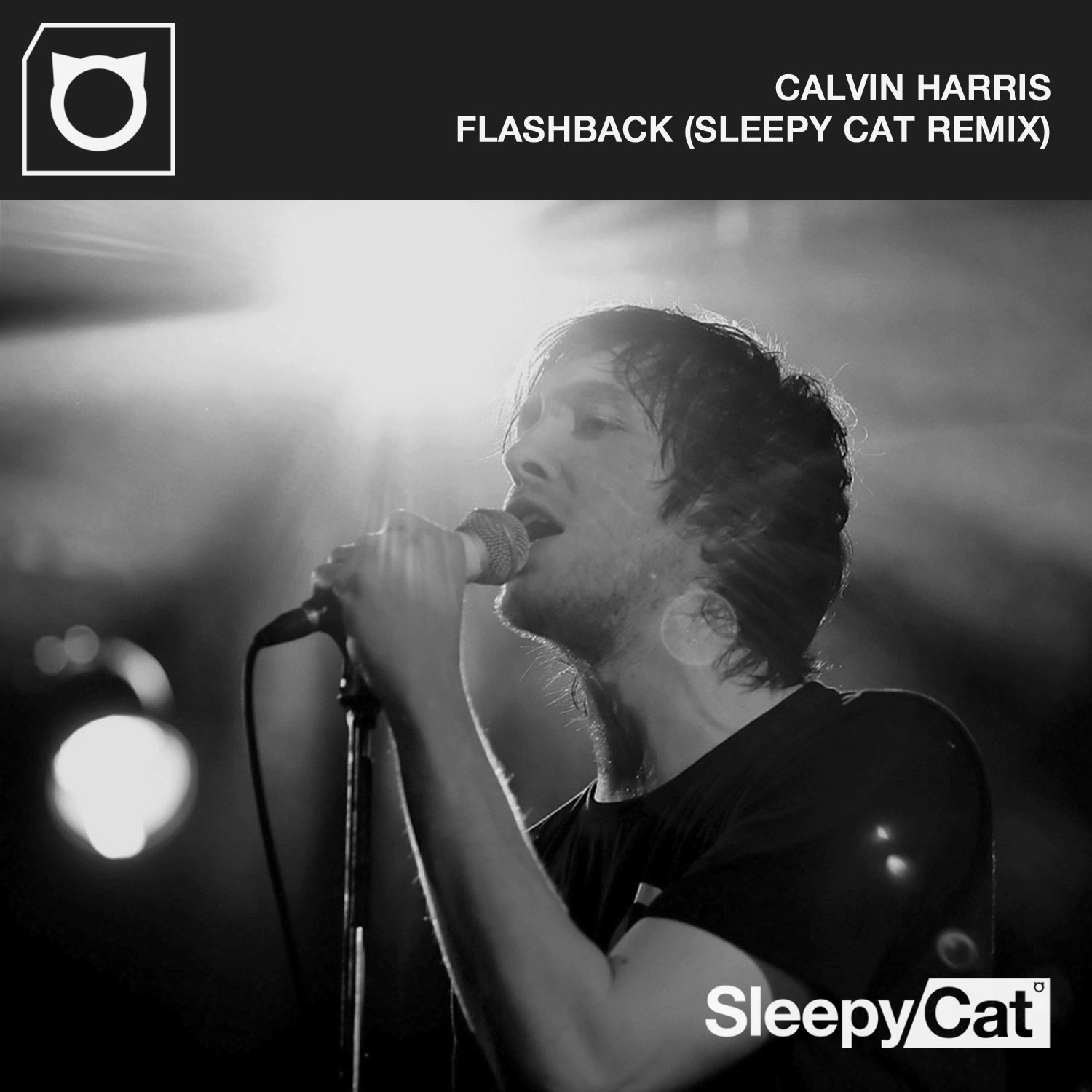 Flashback | Sleepy Cat Remix