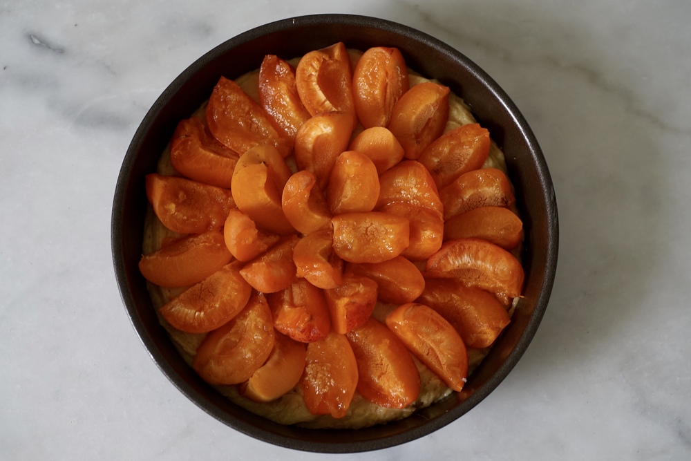 Aprikosentorte — Helvetic Kitchen