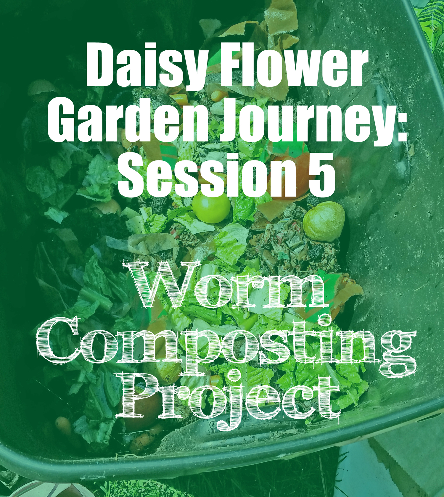 Daisy Flower Garden Journey Session 5 Take Action Project