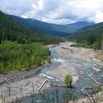 Elwha_River_-_Humes_Ranch_Area2