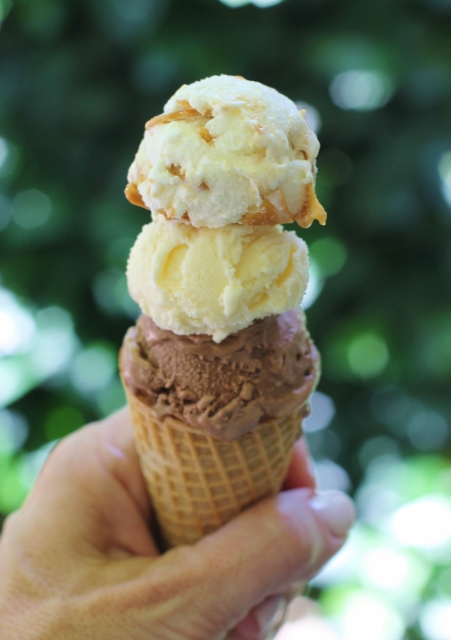 Favorite Things Ice Cream (5)