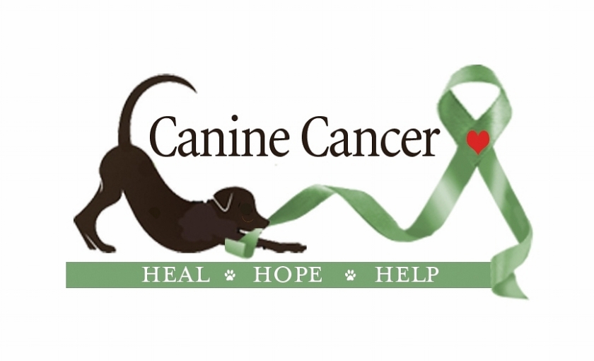 Image result for canine WITH cancer