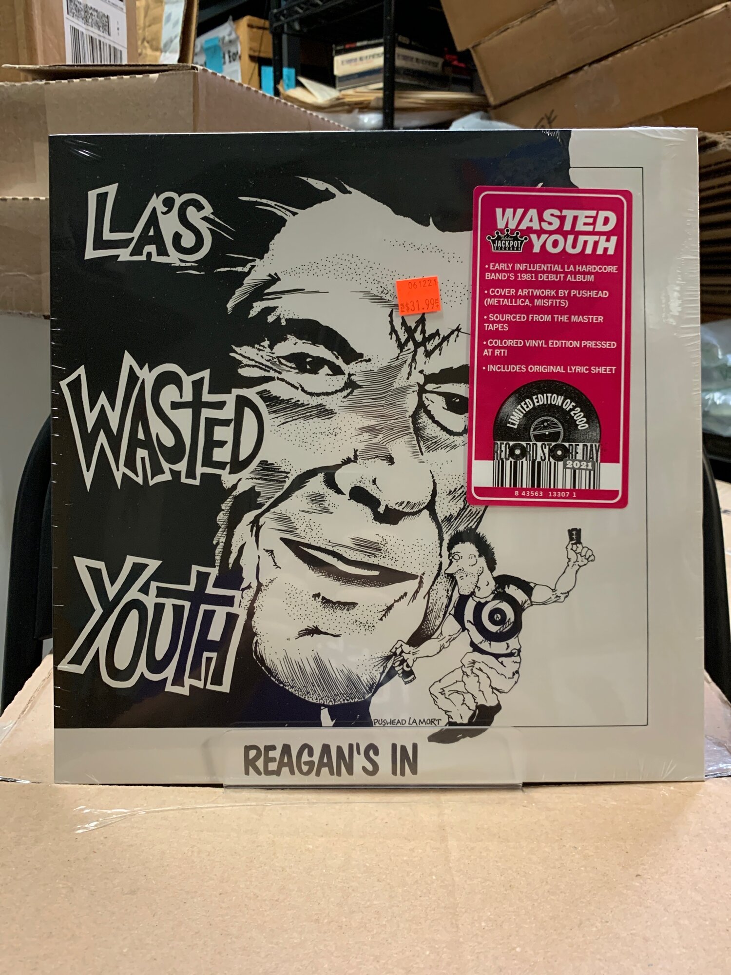 Wasted Youth - Reagan's In — Guestroom Records